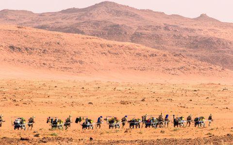 Deep Climate, l'Humain face aux climats